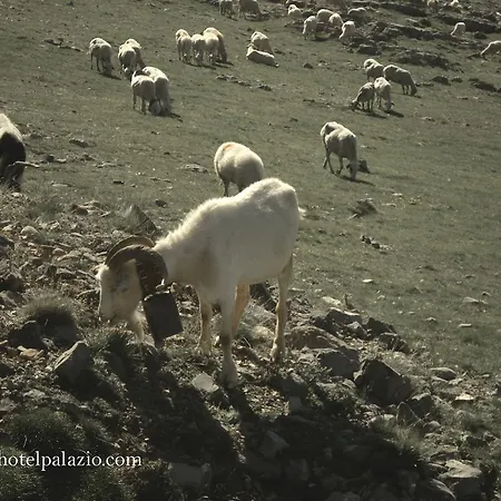 Hotel Palazio Nerín
