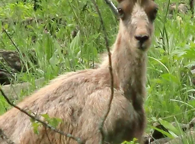 Palazio Ξενοδοχείο
