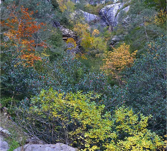 Palazio Ξενοδοχείο