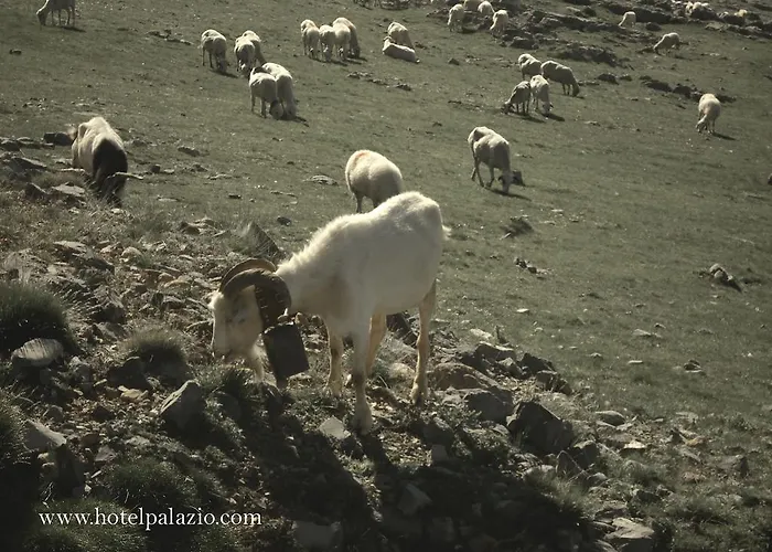 Ξενοδοχείο Palazio Nerín